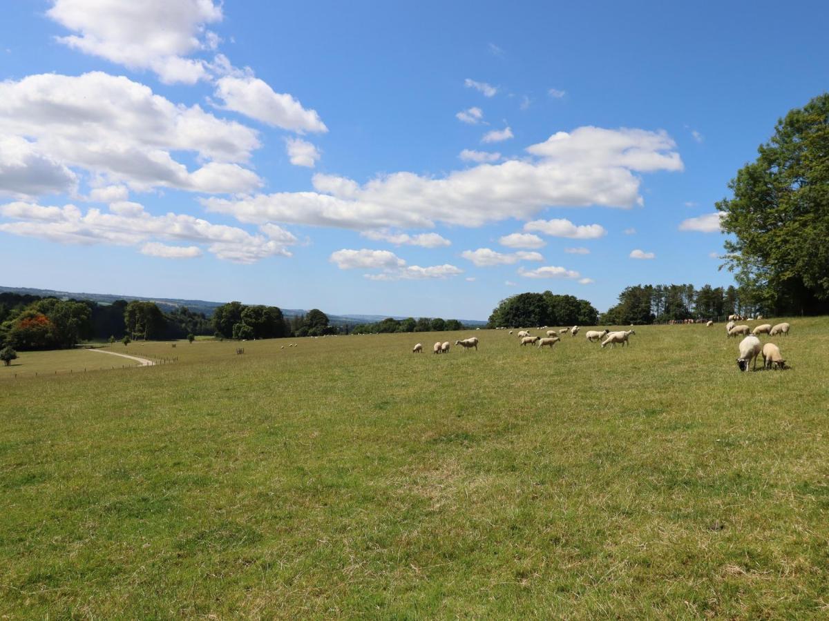 Swandown, 20 Poldon Villa Chard Eksteriør bilde